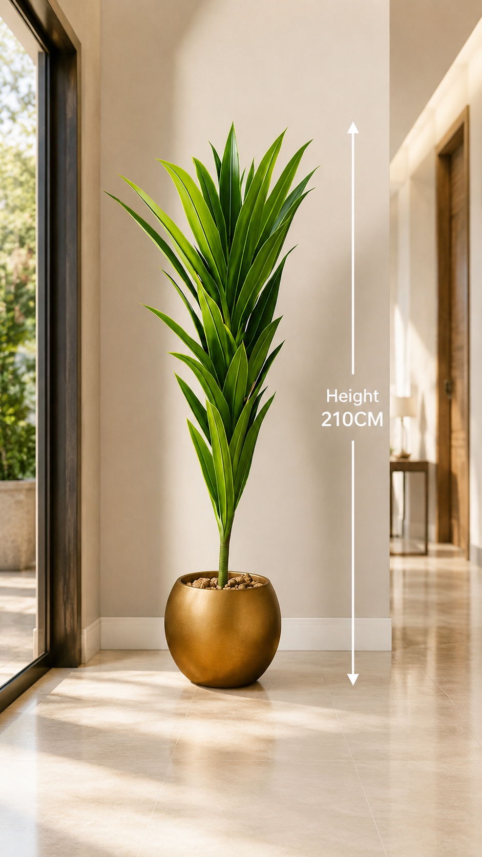 Dracaena Lemon Lime Plant نبات الدراسينا ( Hight 210CM) - Image 3