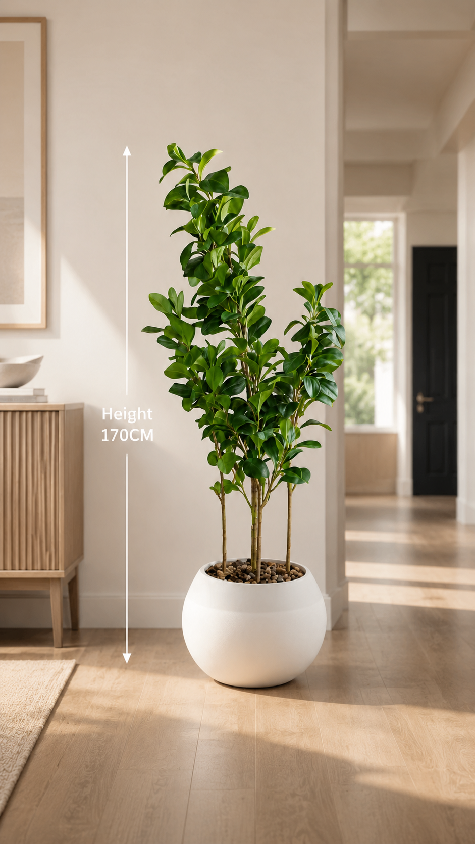 Indore Apple Tree شجرة تفاح ( Hight 180CM) - Image 4