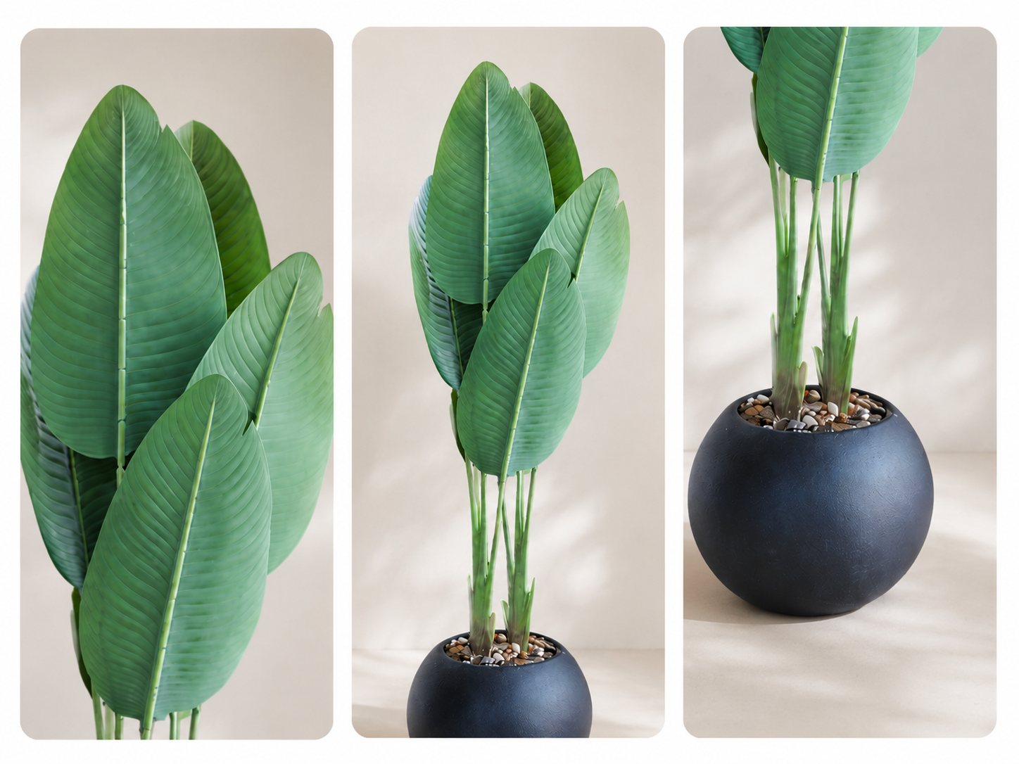 Premium Banana Tree 160cm شجرة الموز - Image 2