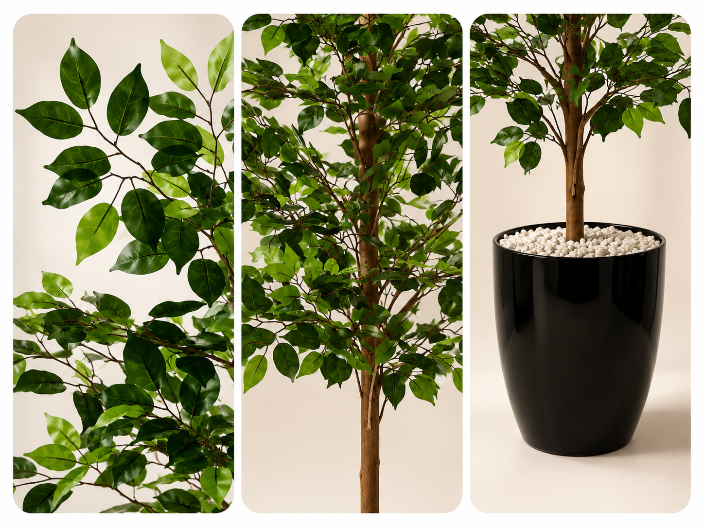Shajjar Lemon شجرة الليمون ( Hight 160CM ) - Image 3