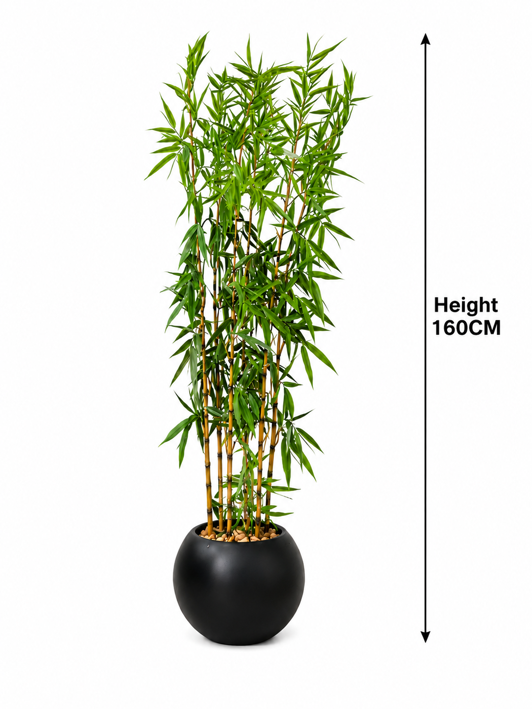 Indoor Bamboo Tree شجرة البامبو 🌱 ( Hight 230CM) - Image 4