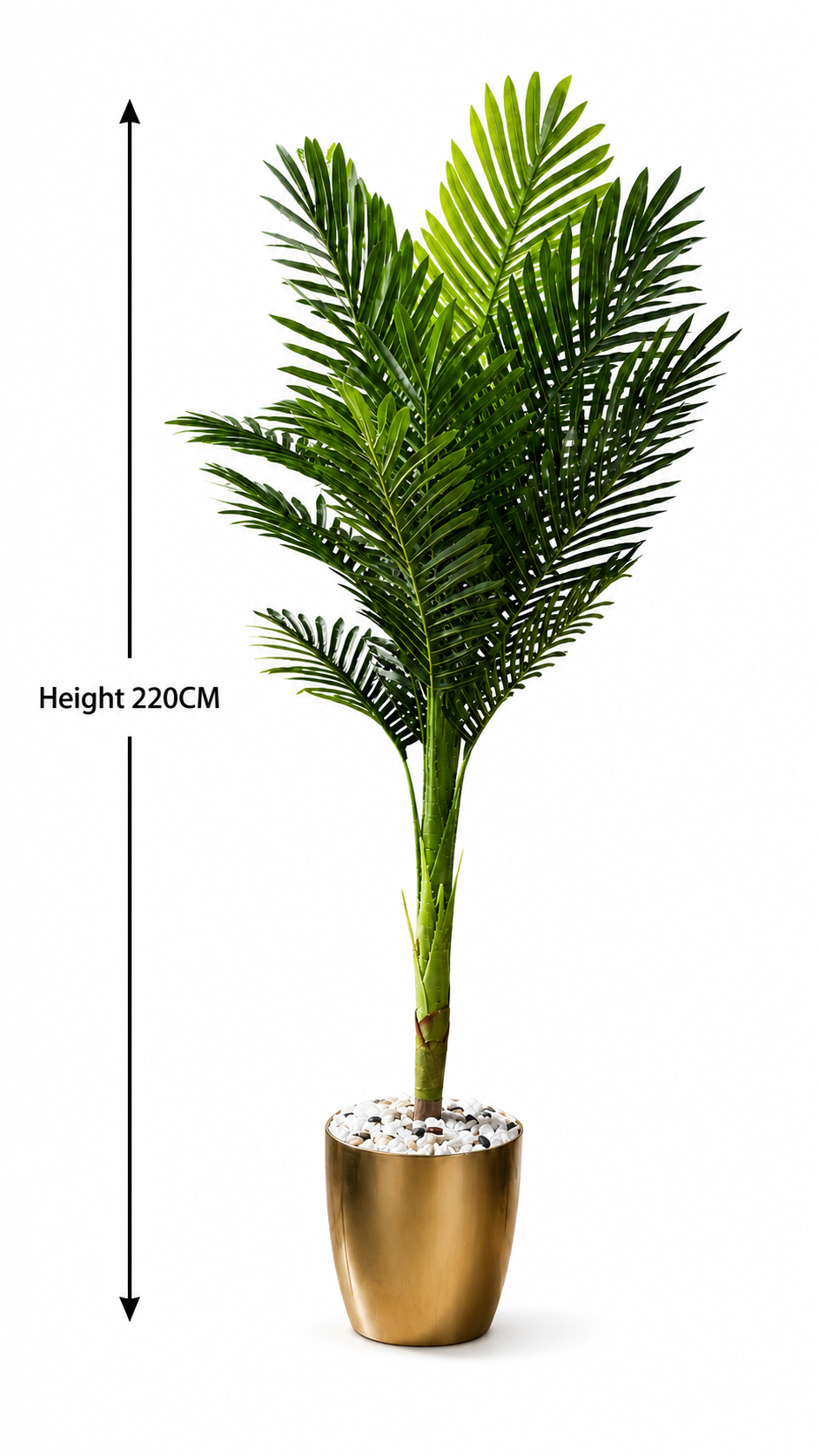 Indoor Palm Nakhal Tree شجر النخيل ( Hight 220CM) - Image 4
