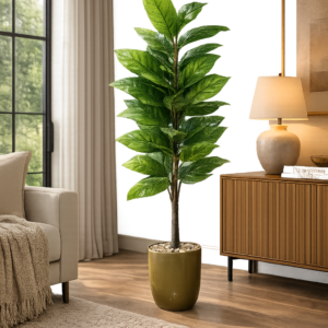 Banana Tree