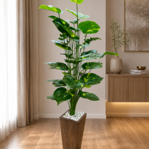 Monstera Plant🌿 نبات المونستيرا  [ Height 110 cm ]