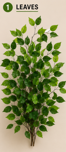 Shajjar Mango شجرة مانجو ( Hight 160CM ) - Image 2