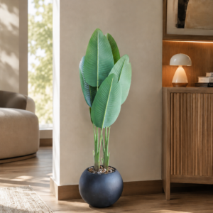 Premium Banana Tree 160cm شجرة الموز