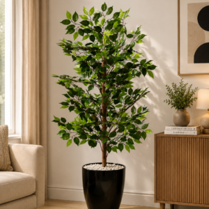 Shajjar Lemon شجرة الليمون ( Hight 160CM )