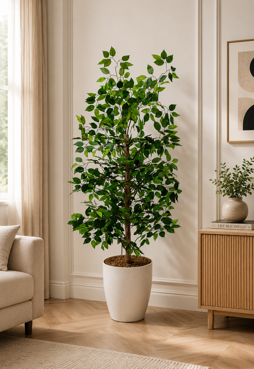 Shajjar Mango شجرة مانجو ( Hight 160CM )