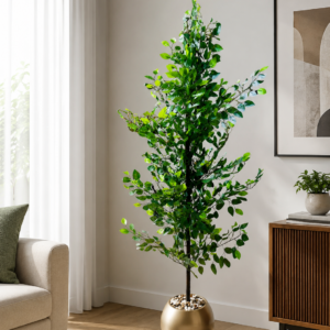 Indoew Mango Tree-شجرة-مانجو ( Hight 160CM)