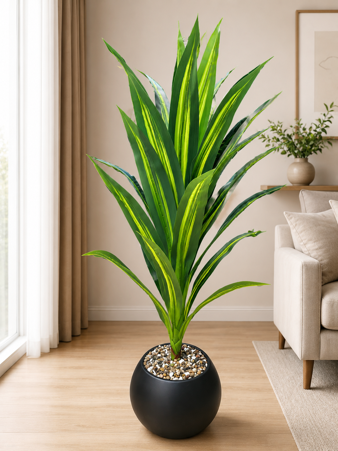 Dracaena Lemon Lime Plant نبات الدراسينا ( Hight 160CM)