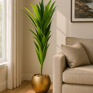 Dracaena Lemon Lime Plant نبات الدراسينا ( Hight 210CM)