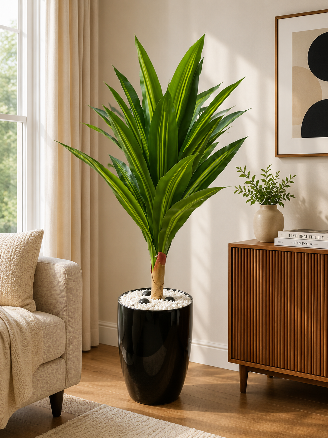 Dracaena Lemon Lime Plant نبات الدراسينا ( Hight 160CM)