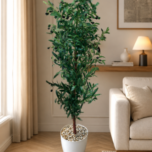 Indore Zaitoon Tree شجر زيتون [ Height 200CM ]