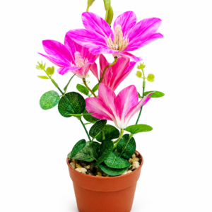 “Add a Splash of Color 🌸 Vibrant Pink Desk Plant”