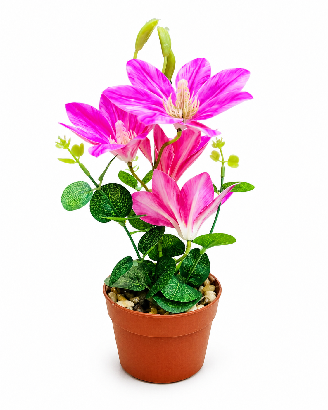 “Add a Splash of Color 🌸 Vibrant Pink Desk Plant”