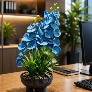 “Brighten Your Workspace 💙 Stunning Blue Orchid Plant”