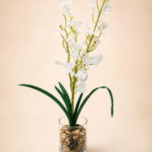 “Bring Life to Your Desk 🌿 Elegant White Orchid Plant”