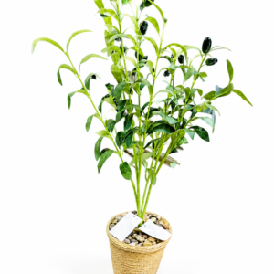 Artificial Olive Tree 40cm – شجرة زيتون صناعية