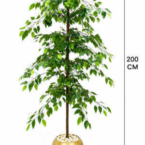 Lemon Tree 170cm شجرة ليمون