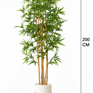 Bamboo Tree  شجرة البامبو 🌱 ( Hight 200CM)
