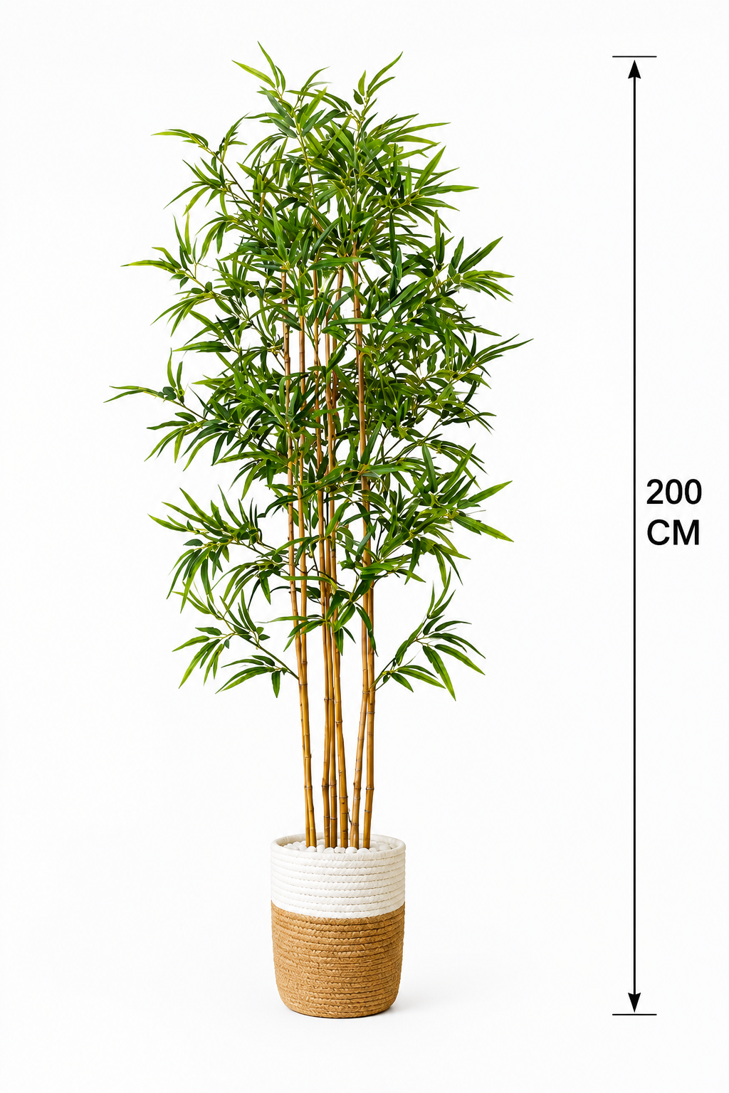 Bamboo Tree شجرة البامبو 🌱 ( Hight 200CM)