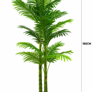 Indoor Palm Trees  180cm شجر النخيل
