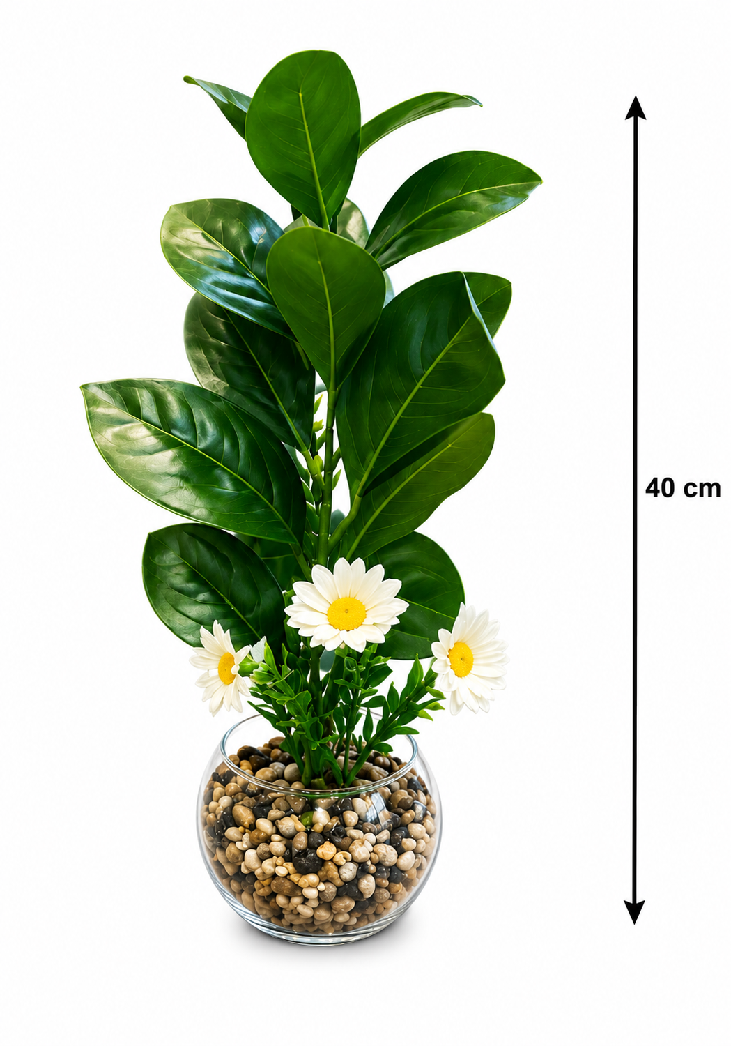 Premium Artificial Green Plant with White Daisy Flowers in Glass Vase | Realistic Faux Indoor Plant | Modern Home & Office Table Decor | Maintenance Free Decorative Plant - Image 3